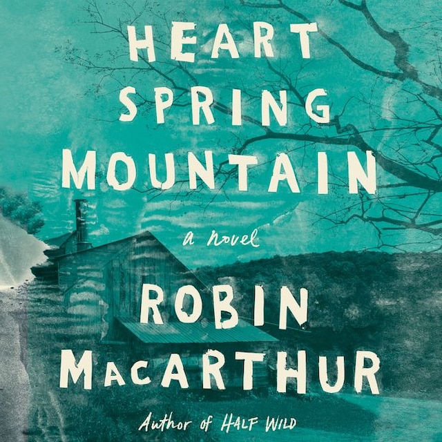 Bogomslag for Heart Spring Mountain