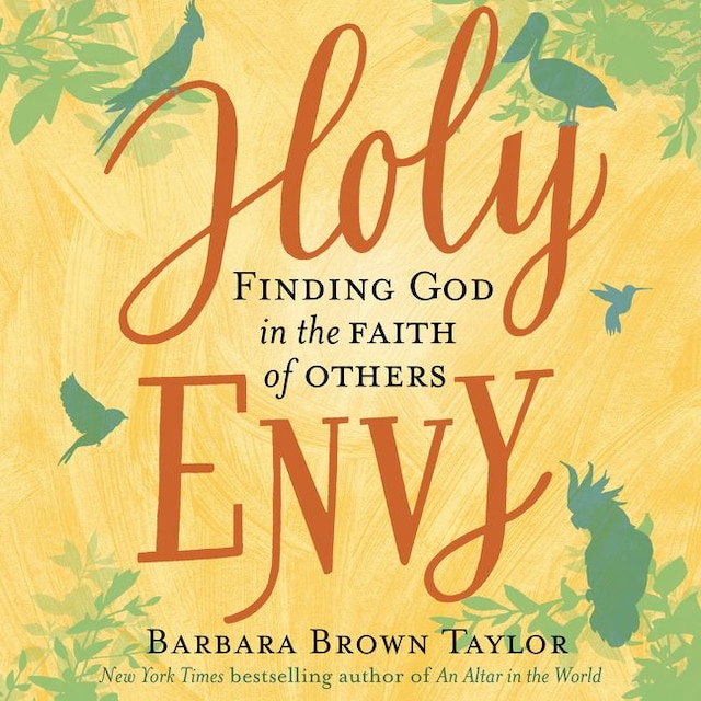 Book cover for Holy Envy