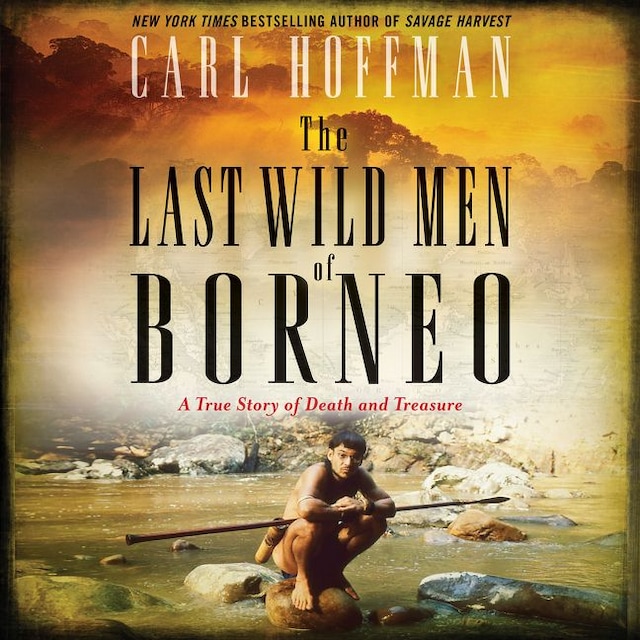 Book cover for The Last Wild Men of Borneo