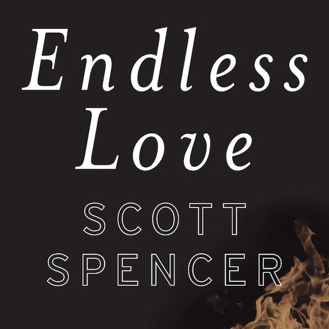 Book cover for Endless Love