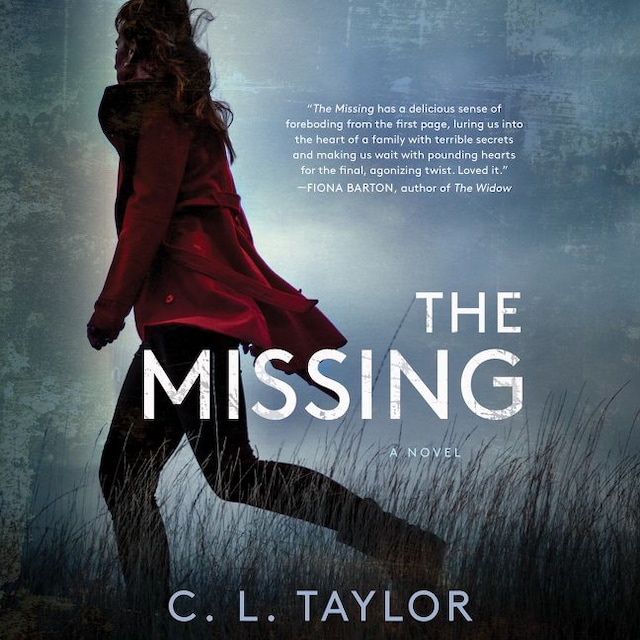 Book cover for The Missing