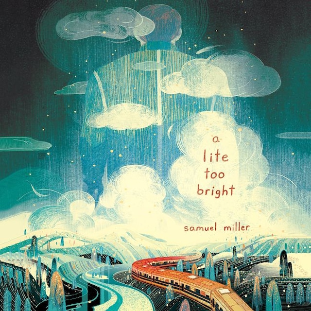 Book cover for A Lite Too Bright
