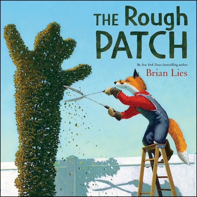 Buchcover für The Rough Patch