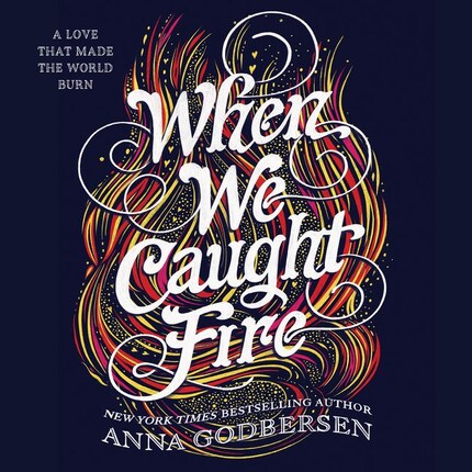 When We Caught Fire bookCoverFor