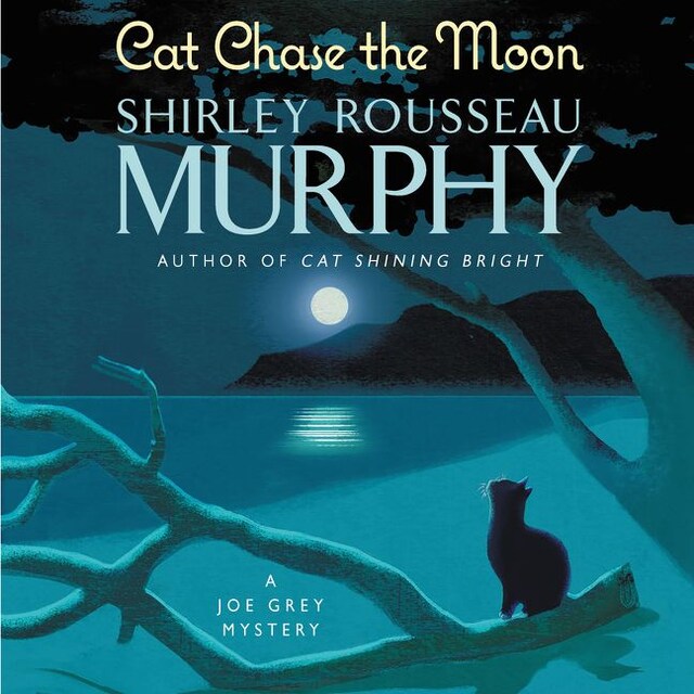 Portada de libro para Cat Chase the Moon