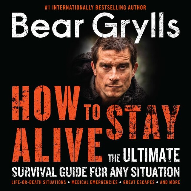 Book cover for How to Stay Alive