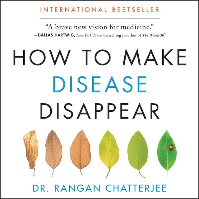 Kirjankansi teokselle How to Make Disease Disappear