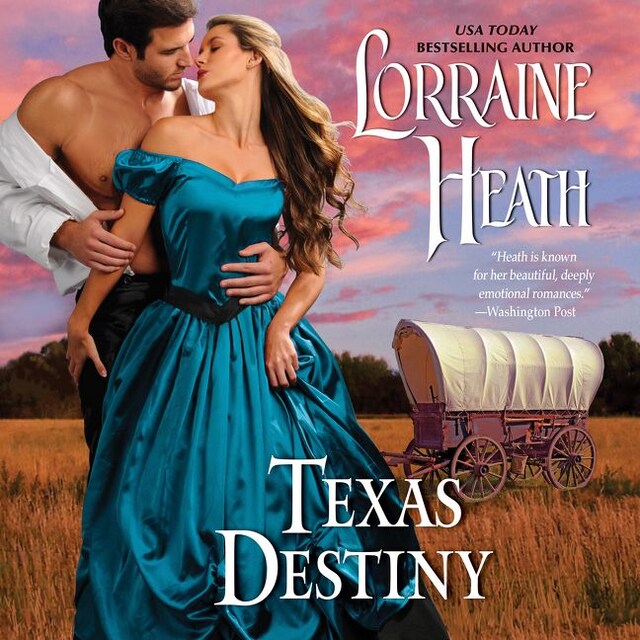 Boekomslag van Texas Destiny