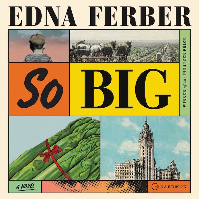 Book cover for So Big