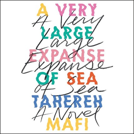A Very Large Expanse of Sea bookCoverFor