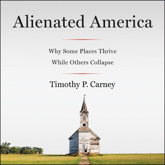 Book cover for Alienated America