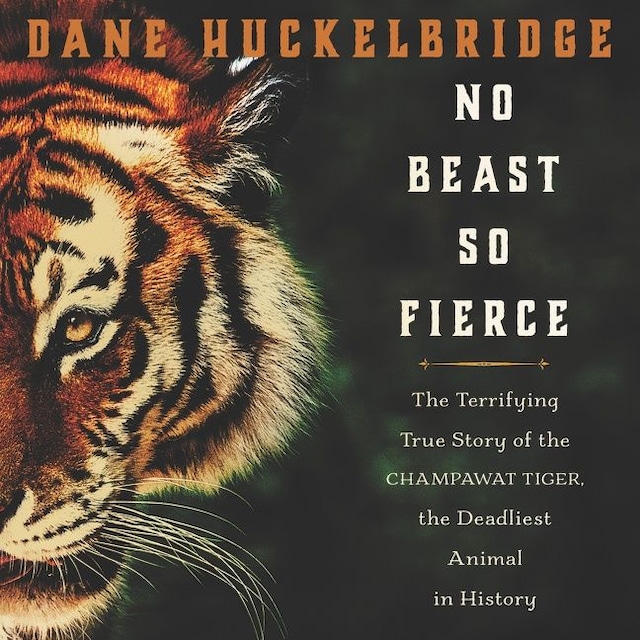 Copertina del libro per No Beast So Fierce