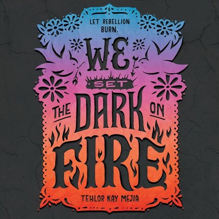 We Set the Dark on Fire bookCoverFor