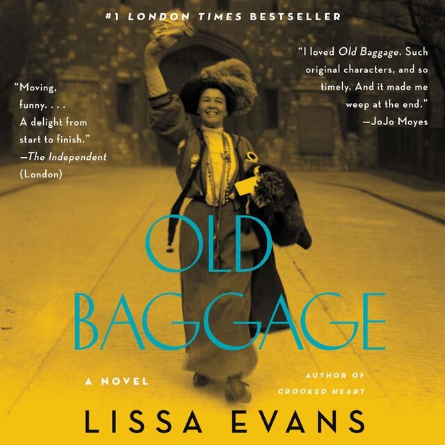 Book cover for Old Baggage