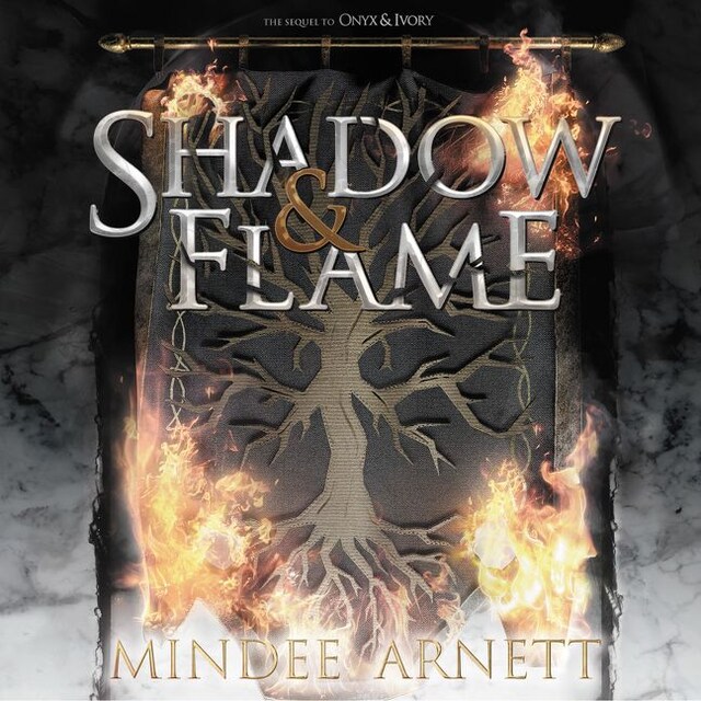 Buchcover für Shadow & Flame