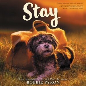 Stay bookCoverFor