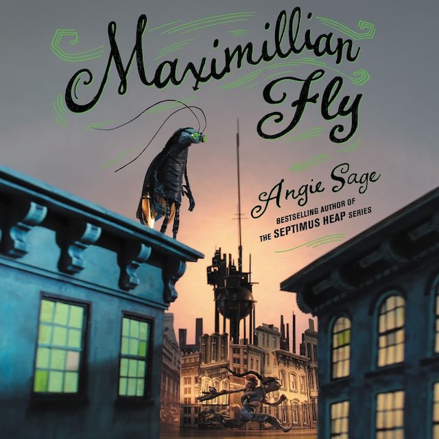 Buchcover für Maximillian Fly