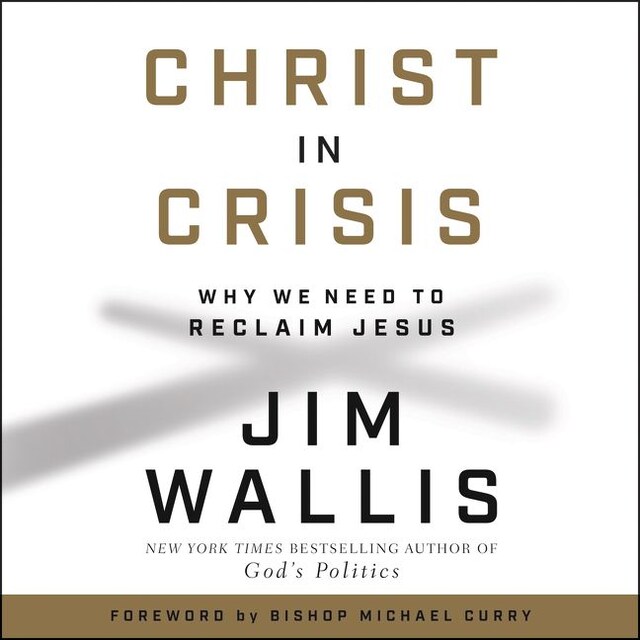 Book cover for Christ in Crisis