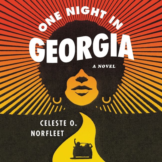 Book cover for One Night in Georgia