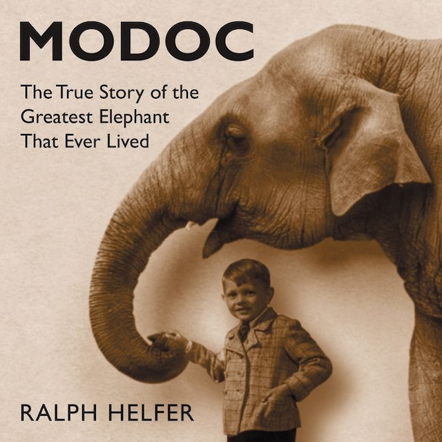 Book cover for Modoc