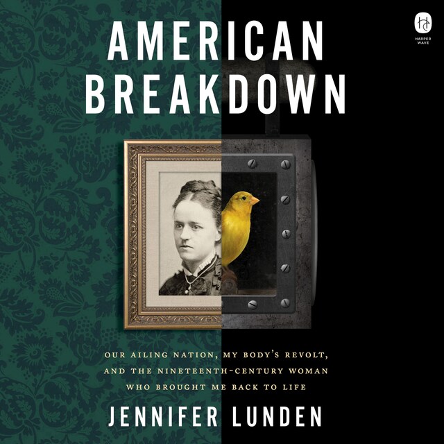 Boekomslag van American Breakdown