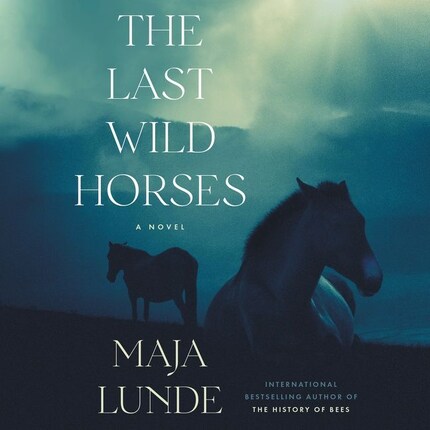 The Last Wild Horses bookCoverFor