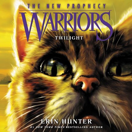 The Place of No Stars (Warriors: The Broken Code, #5) by Erin Hunter