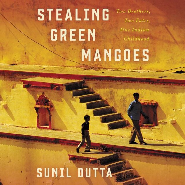 Copertina del libro per Stealing Green Mangoes