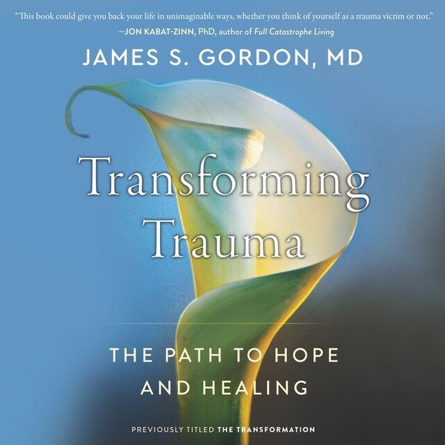 Bogomslag for Transforming Trauma