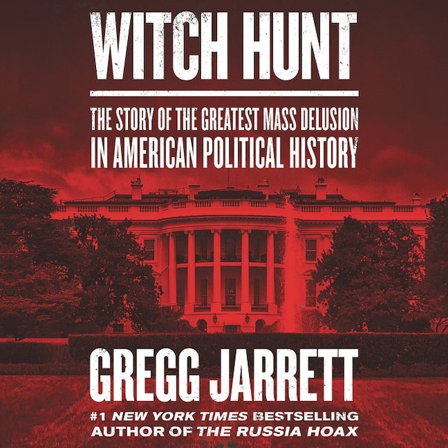 Book cover for Witch Hunt