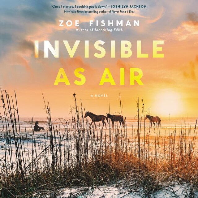 Book cover for Invisible as Air
