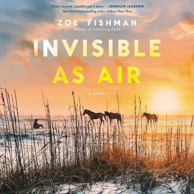 Invisible as Air