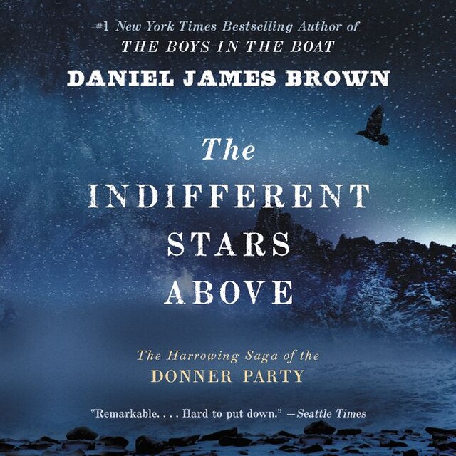 Book cover for The Indifferent Stars Above