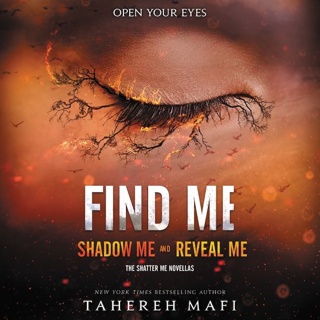 Book cover for Find Me