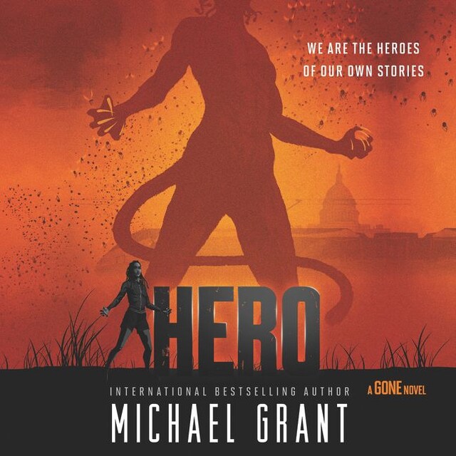 Book cover for Hero