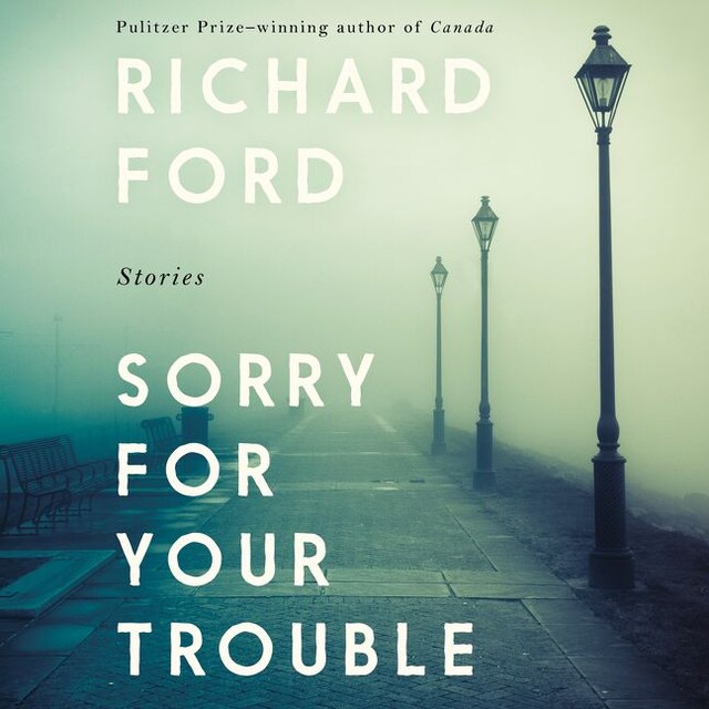 Book cover for Sorry For Your Trouble