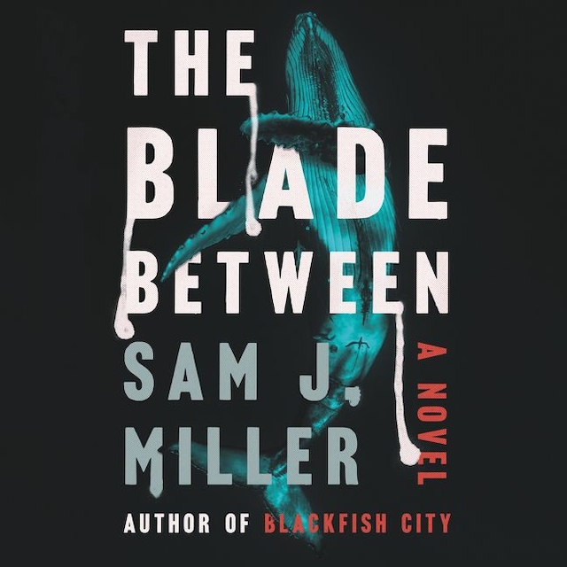 Book cover for The Blade Between