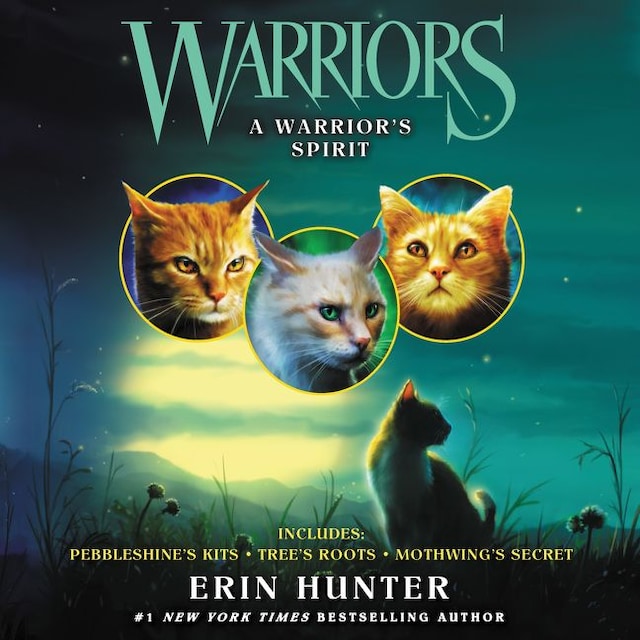 Portada de libro para Warriors: A Warrior's Spirit
