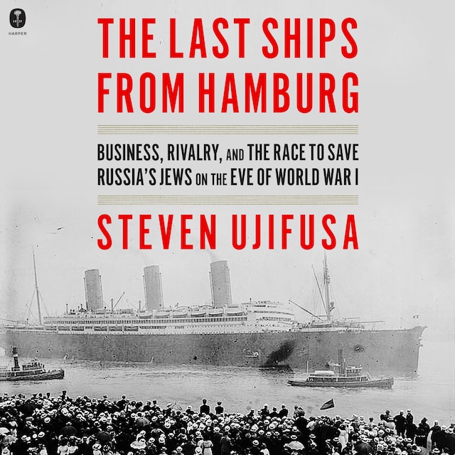 Book cover for The Last Ships from Hamburg