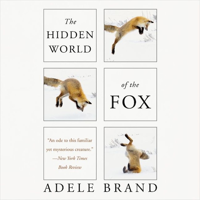 Book cover for The Hidden World of the Fox