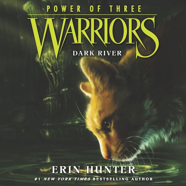 Book cover for Warriors: Power of Three #2: Dark River