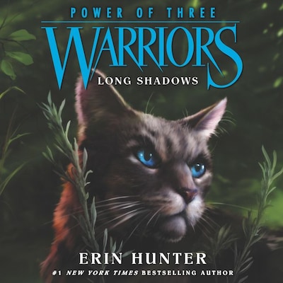 Warriors: The Broken Code #4: Darkness Within - By Erin Hunter (paperback)  : Target