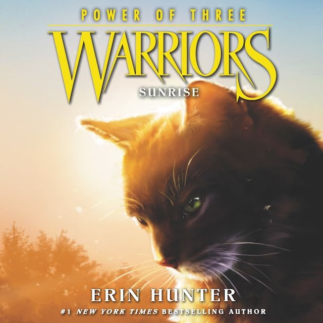 Book cover for Warriors: Power of Three #6: Sunrise