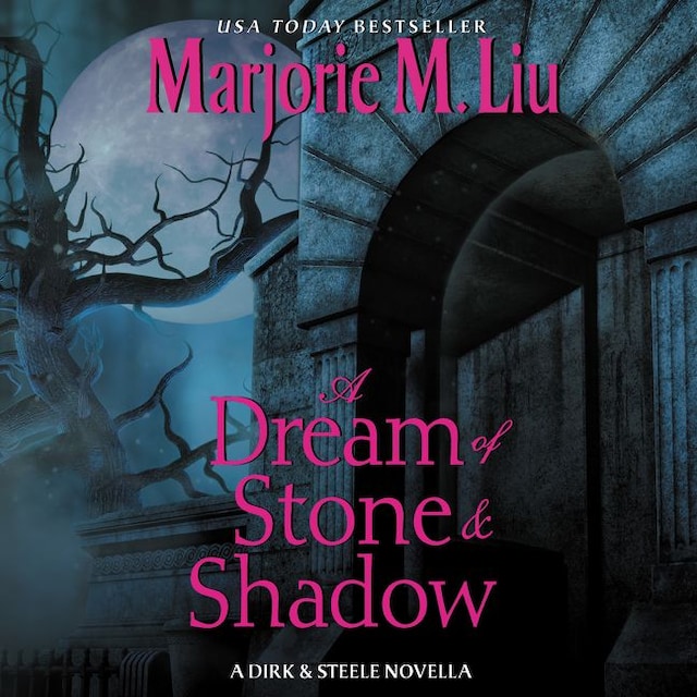Okładka książki dla A Dream of Stone & Shadow