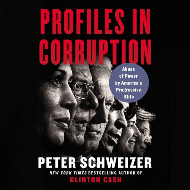 Buchcover für Profiles in Corruption