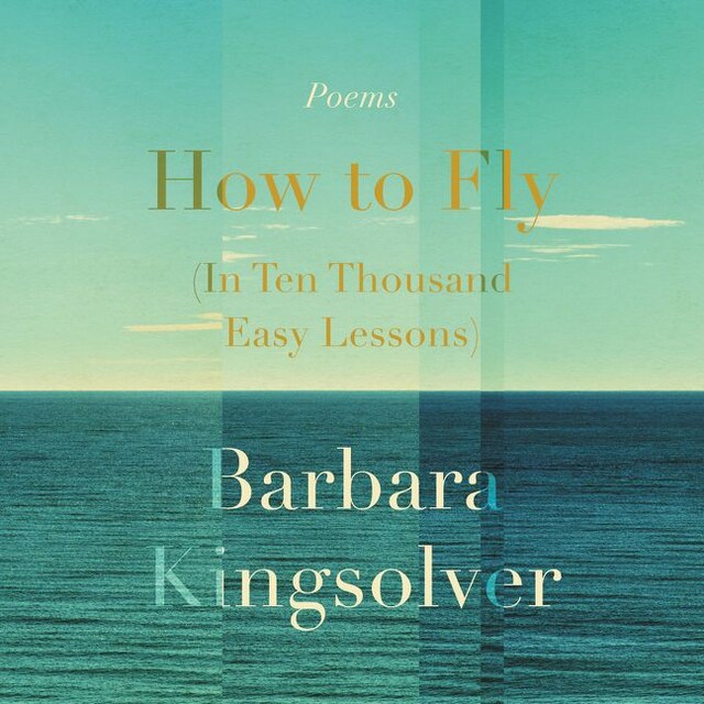 Boekomslag van How to Fly (In Ten Thousand Easy Lessons)