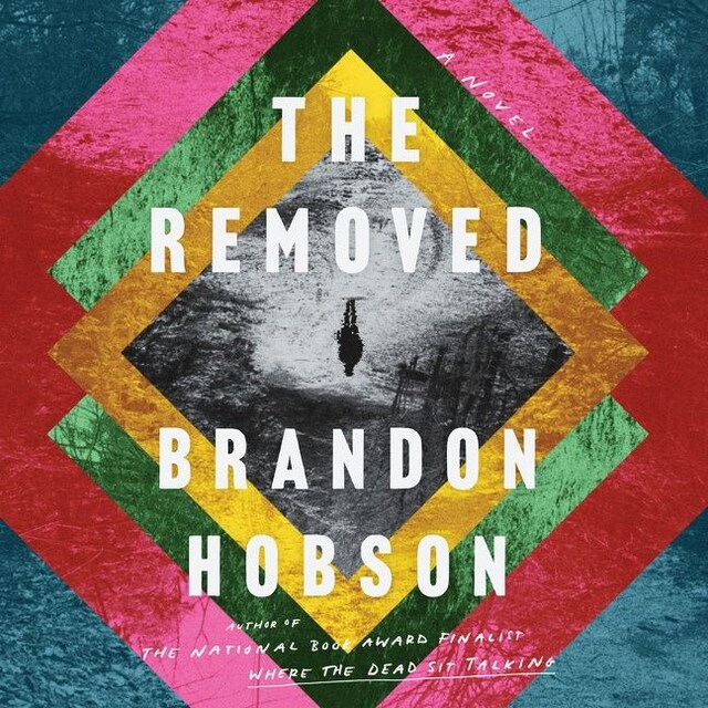 Copertina del libro per The Removed