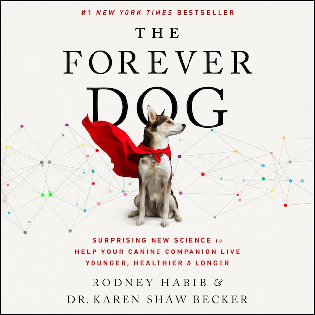 Book cover for The Forever Dog