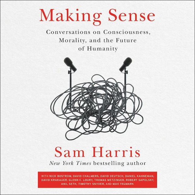 Book cover for Making Sense