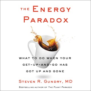 The Energy Paradox bookCoverFor